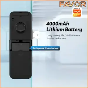 Smart Door Lock Pintu Kaca - Favor VO28 - 05
