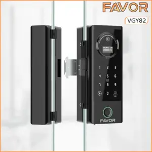 Smart Door Lock Favor VGY82 - Pintu Kaca 02