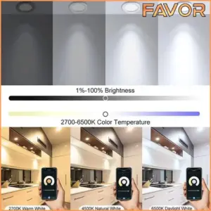 Smart Lamp LED Downlight 15W - Favor 04