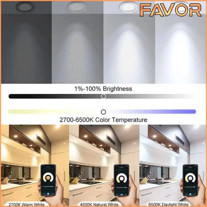 Smart Lamp LED Downlight 15W - Favor 04